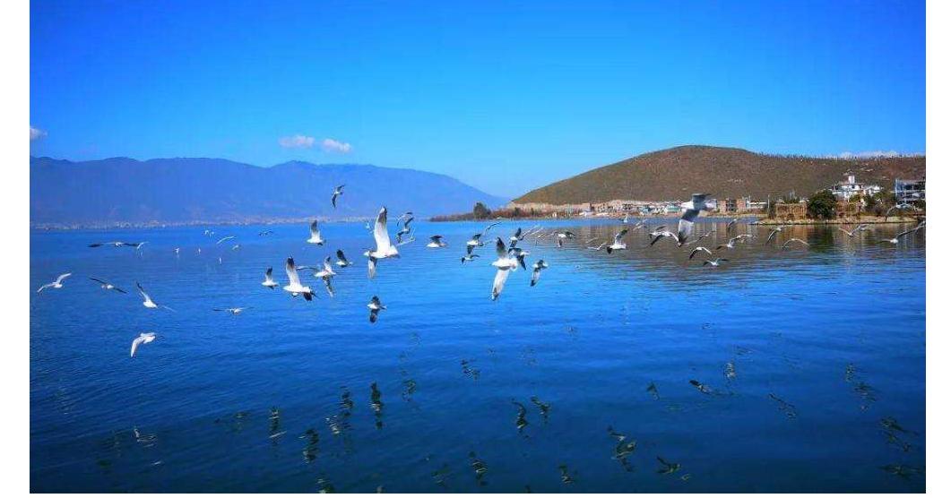 云南旅游必须去的几个景点推荐,到云南昆明旅游必去的景点有哪些