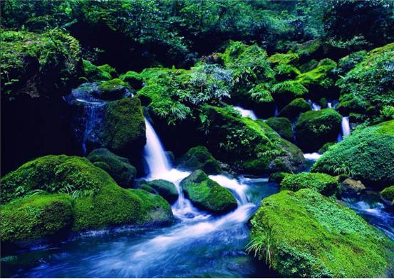 贵州文旅知识趣味挑战大赛决赛,贵州文旅知识趣味挑战大赛奖品