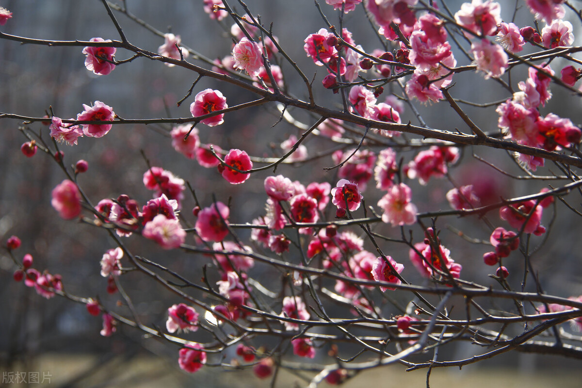 多数人都不知道的冷知识,一般人都不知道的十个新疆冷知识