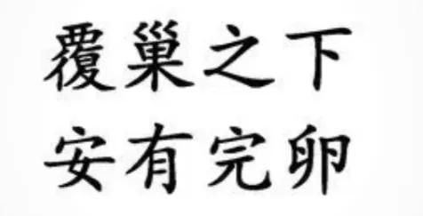 源自不系舟微博《鹦鹉洲》