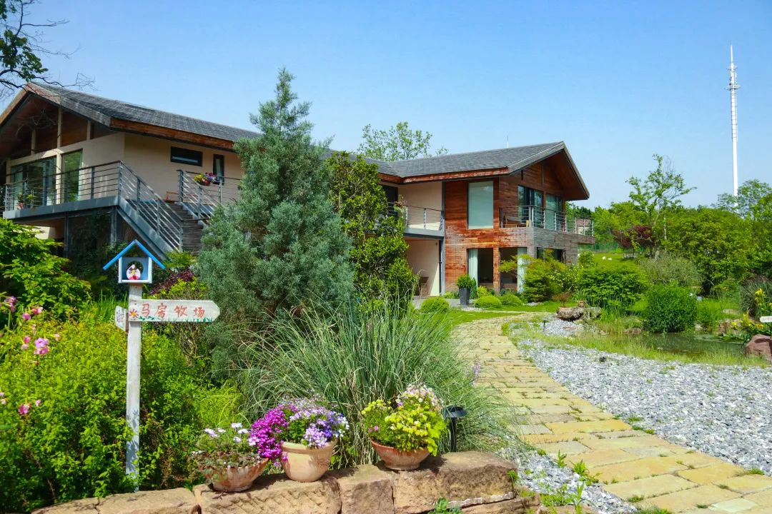 孩子们的快乐星球！周末带娃，肥西这些地方就够啦！