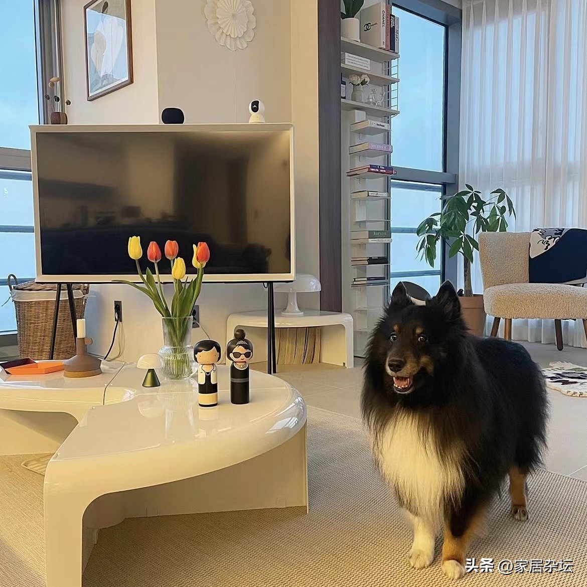 北京30岁女主的家，“优生活”兑现美好生活，光看着就好治愈