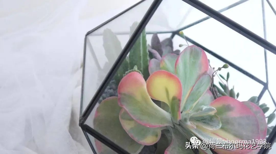 花店的经营技巧有哪些,如果想开一个花店该怎么经营