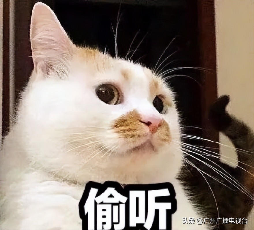 休渔期到了吗,开渔期的广东海鲜市场