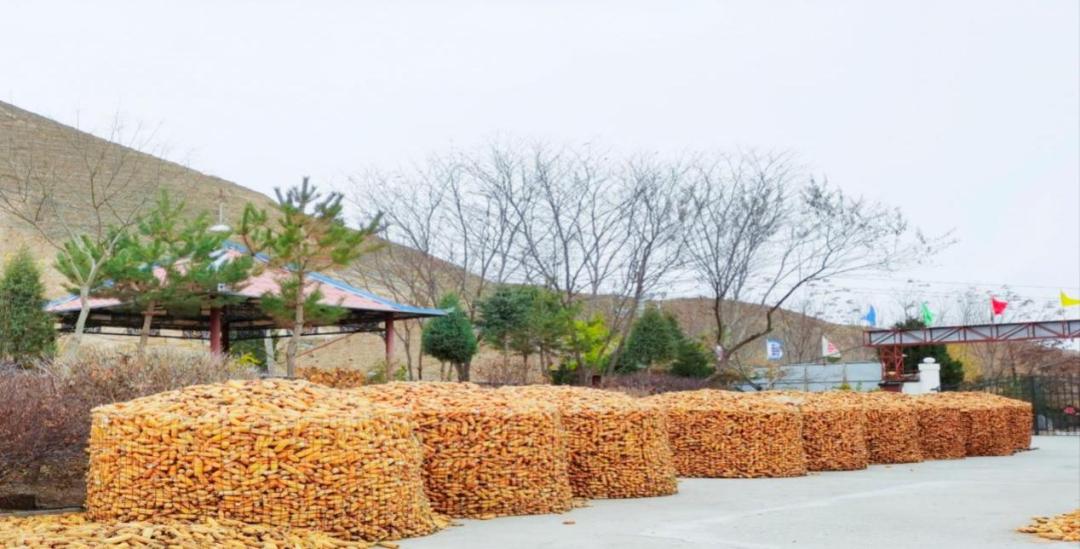 发展家庭农场助力乡村振兴,农业助力农民脱贫致富