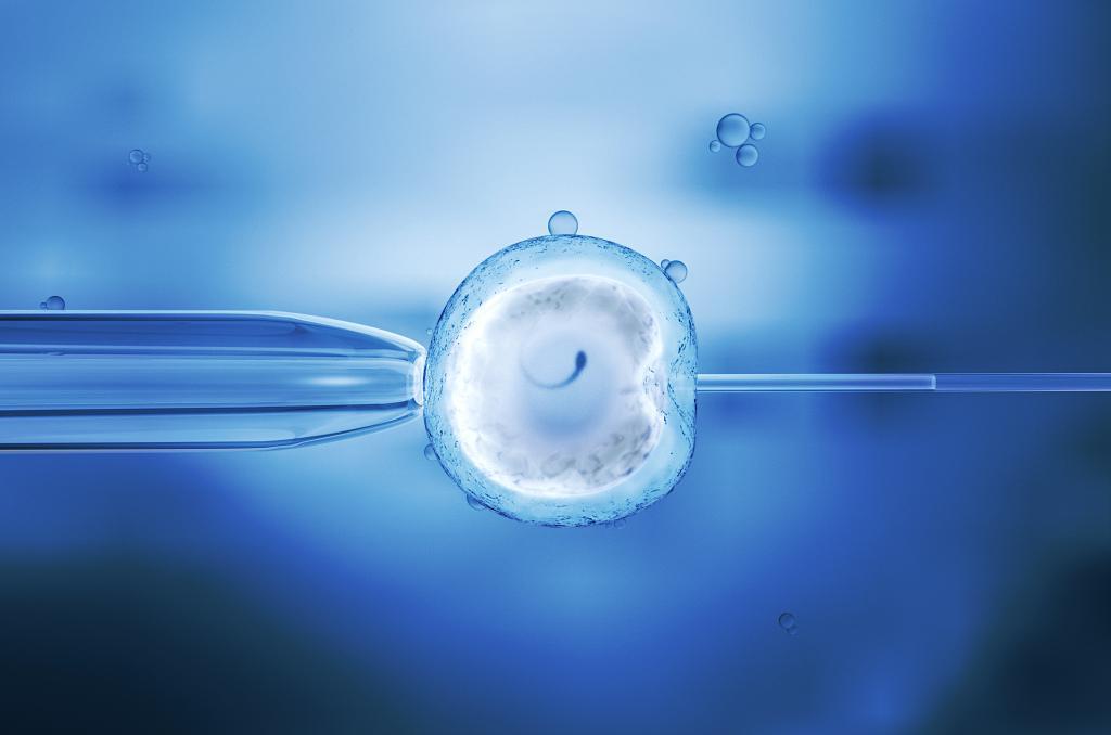 取卵前，那些重要却细枝末节的事