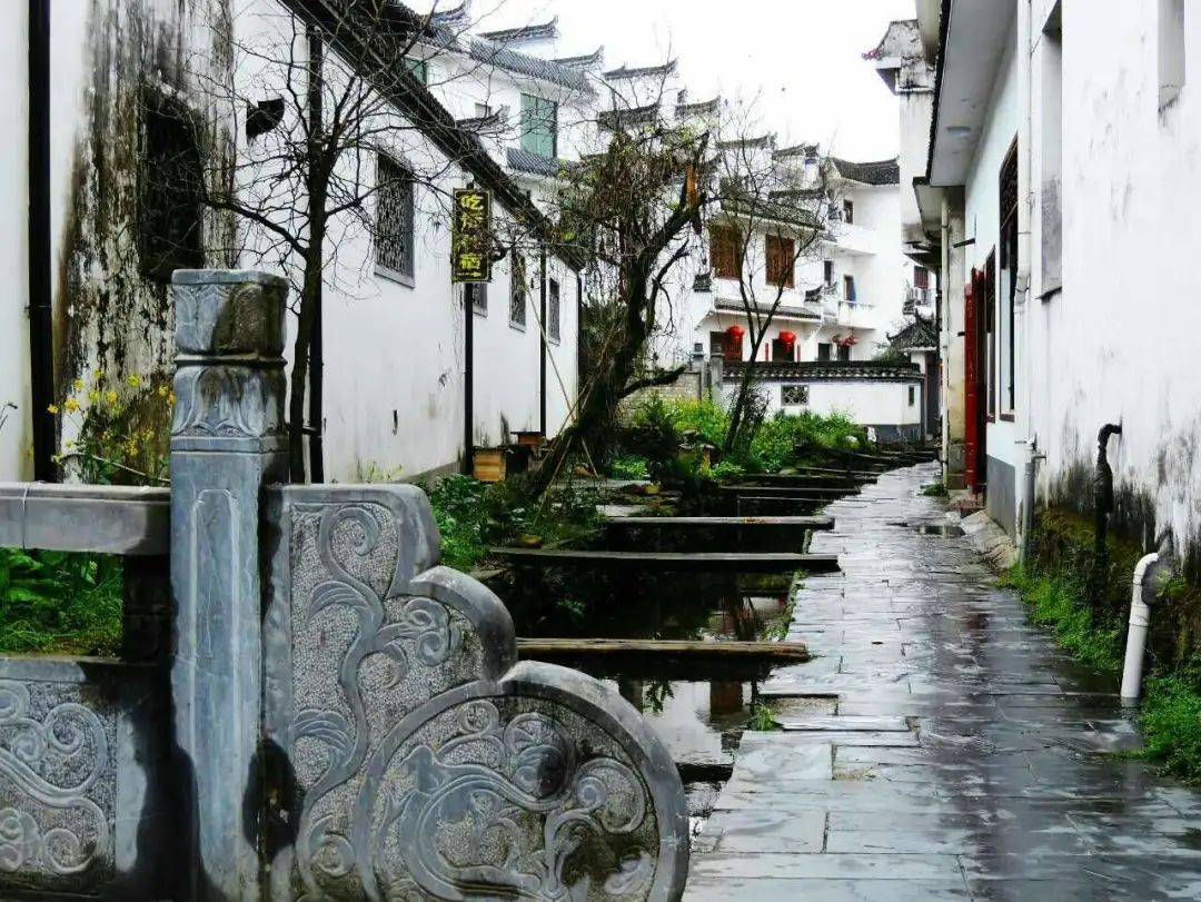 醉美黄山4天3晚游,五天四夜游黄山攻略