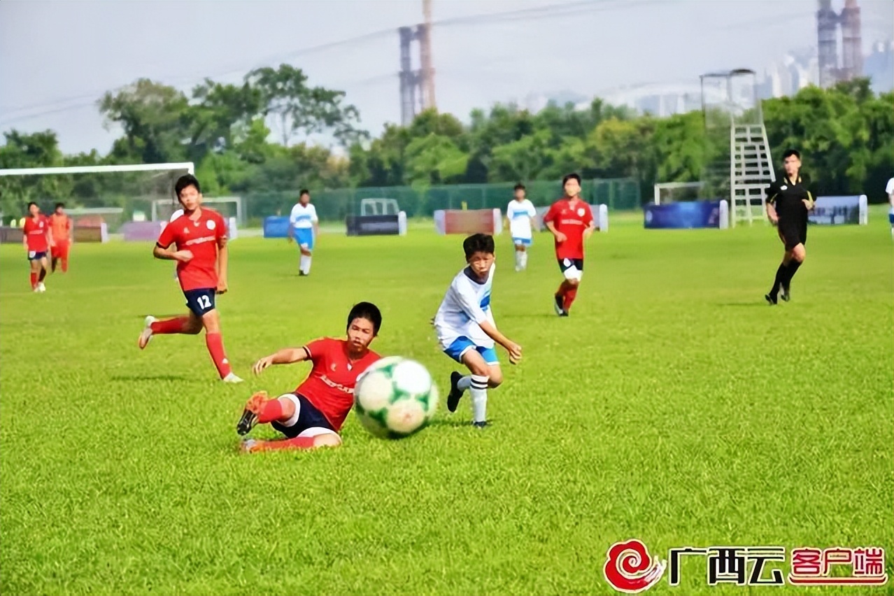 全市体育工作成绩,全市体育工作进展