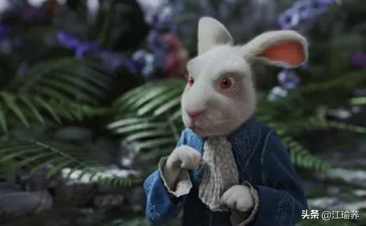 米娅华希科沃斯卡爱丽丝,爱丽丝梦游仙境米娅华希科沃斯卡