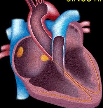 运动心率保持在多少对心脏有好处,每天运动30分钟对心脏好吗