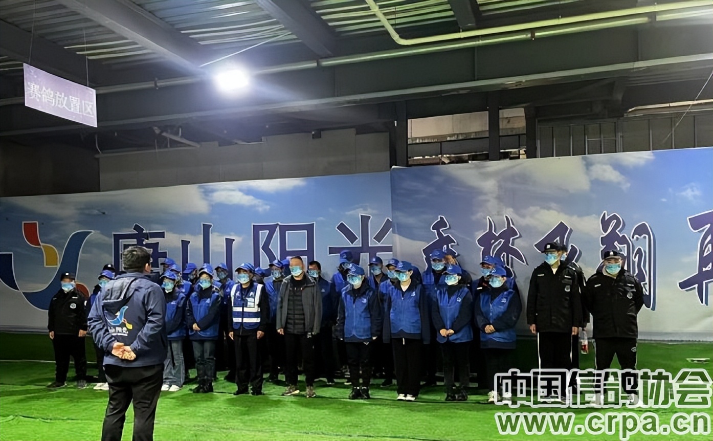 高分速高归巢！“世界杯”唐山阳光站第四关500公里比赛圆满收官