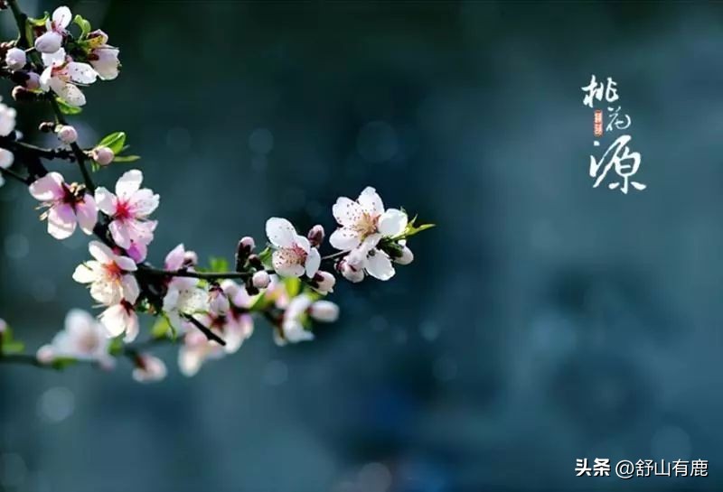 人无常态必有鬼是什么意思,人无常态事出反常必为妖下一句