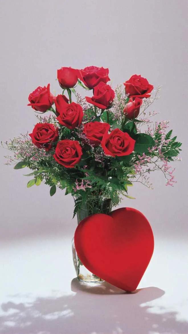 好看的的壁纸高清,好看的壁纸正方形图片