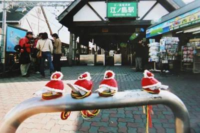 害怕小鸟受凉，有人悄悄为它们织了22年的毛衣