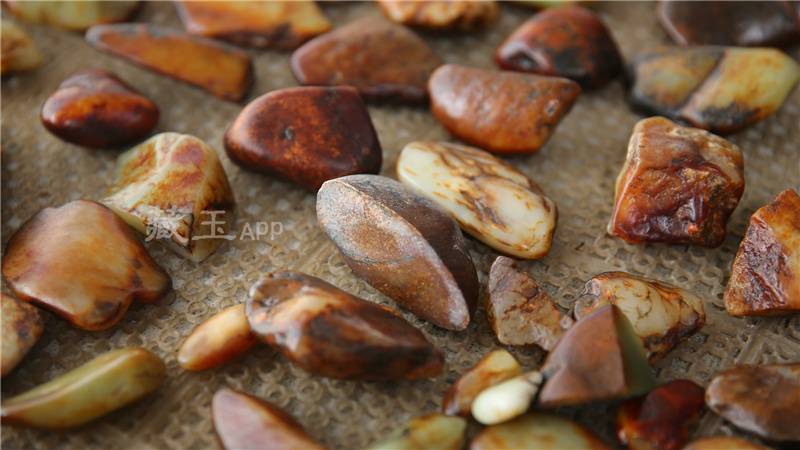 俄料会涨吗,俄料到底值不值得追捧