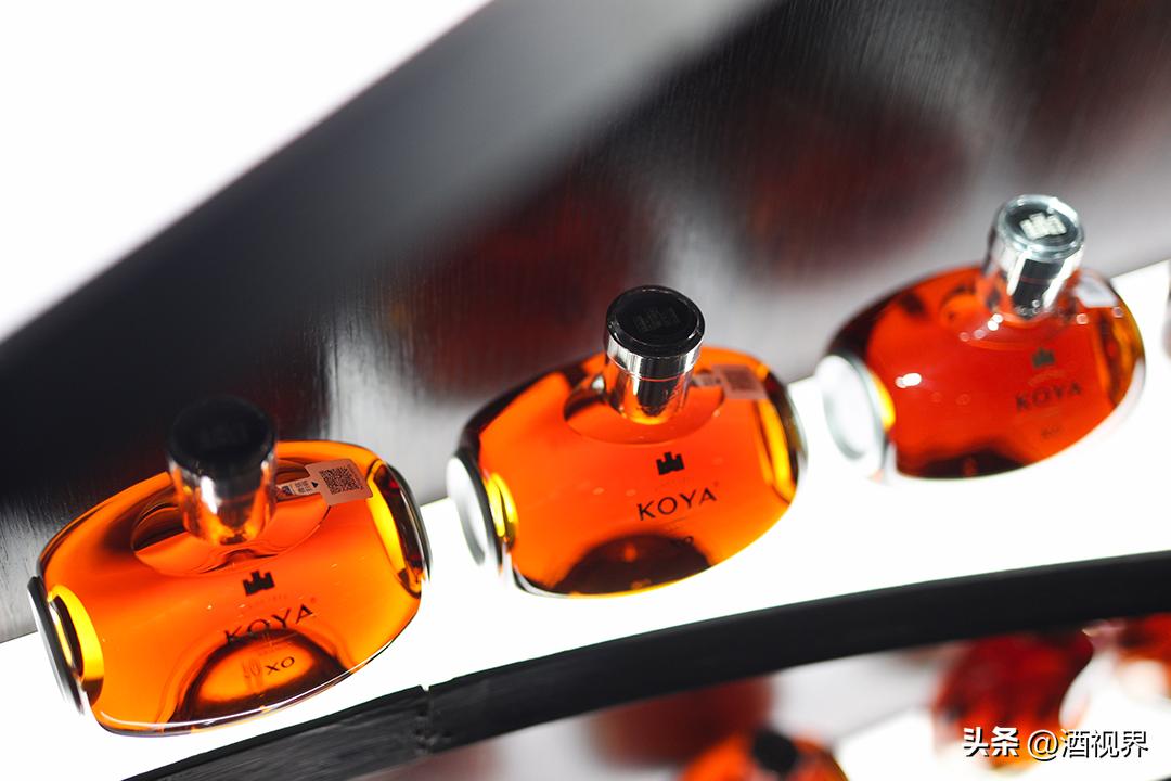 两正向、三聚焦，张裕的定力与张力