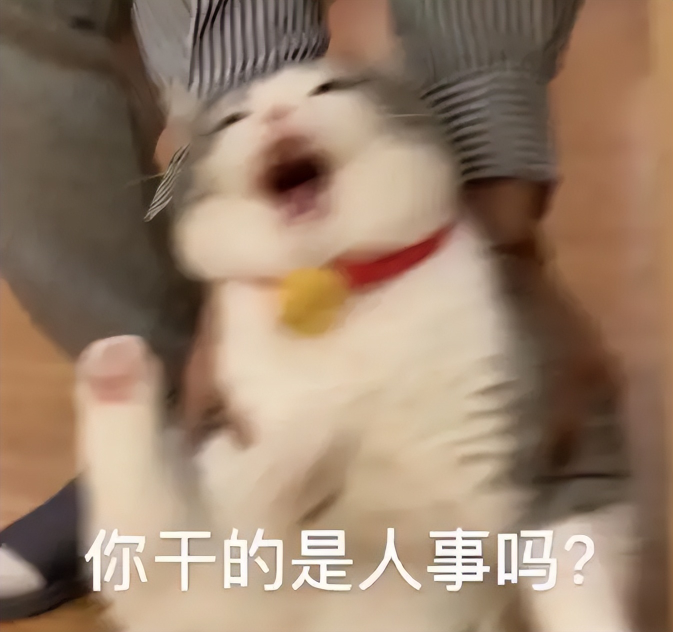 家里的蟑螂怎么彻底消灭,家里的蟑螂怎么才能消灭干净