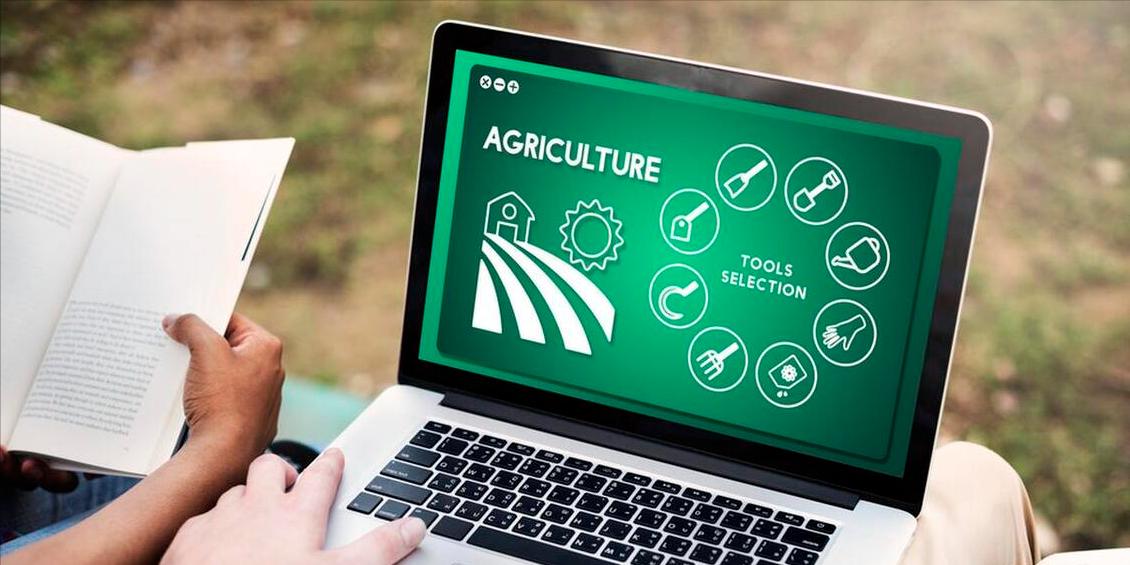 如何利用互联网重塑农业竞争优势,互联网对农业经济发展的影响