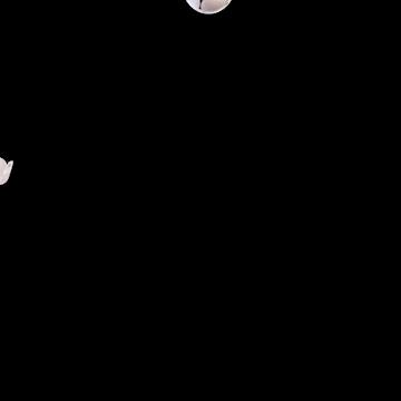 世界杯吉祥物被戏称像馄饨皮,2022年世界杯吉祥物馄饨皮