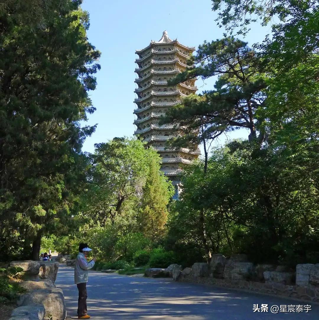 五院四系和985学校哪个有优势,北京大学最牛的学院