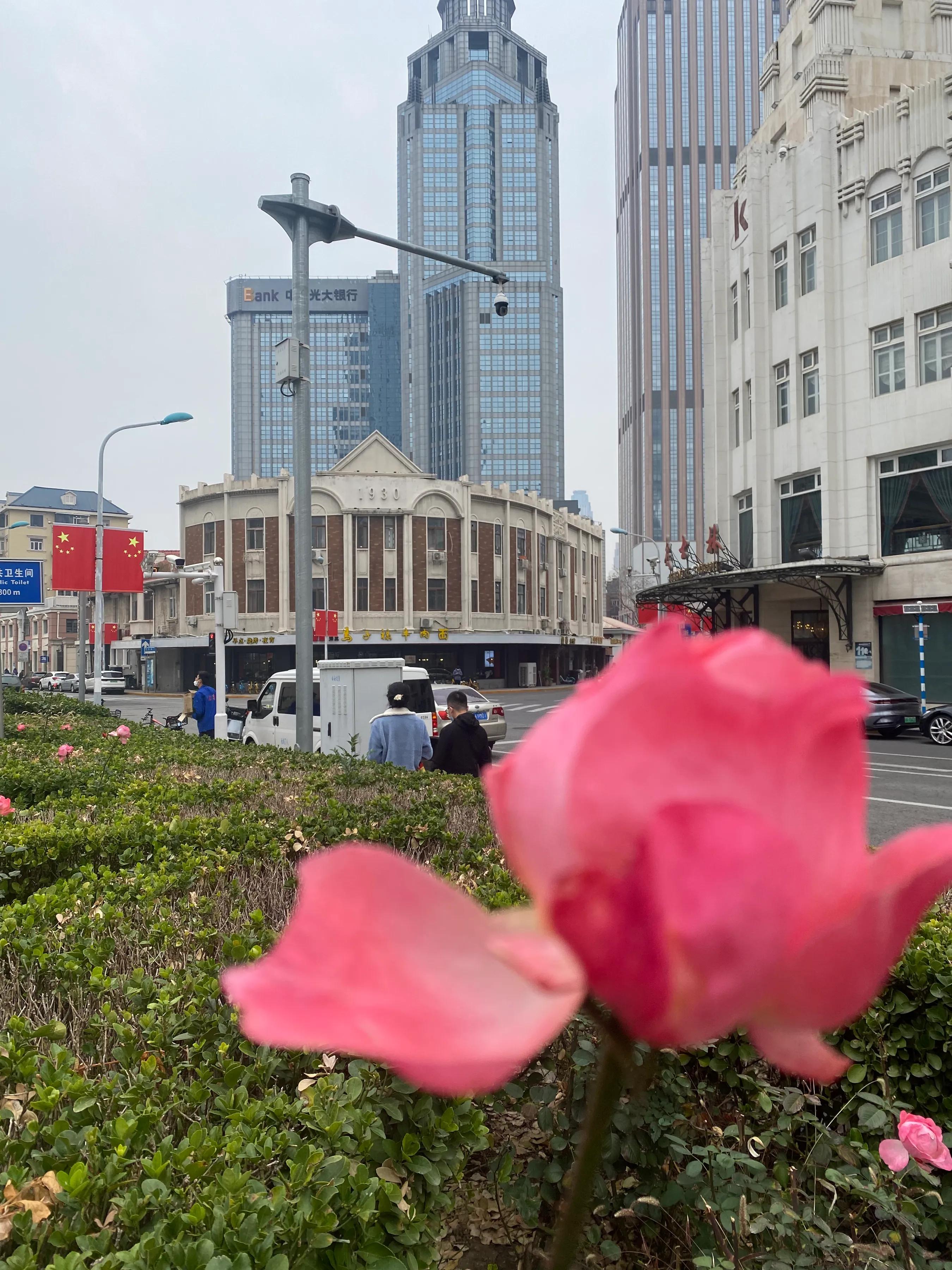 天津小白楼附近有什么游玩的,天津小白楼是指哪个楼