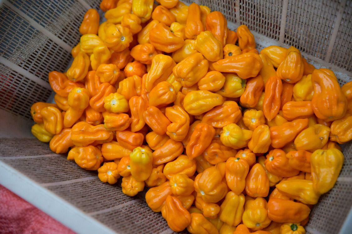 全国各地最出名的特色酱,中国的八大名食