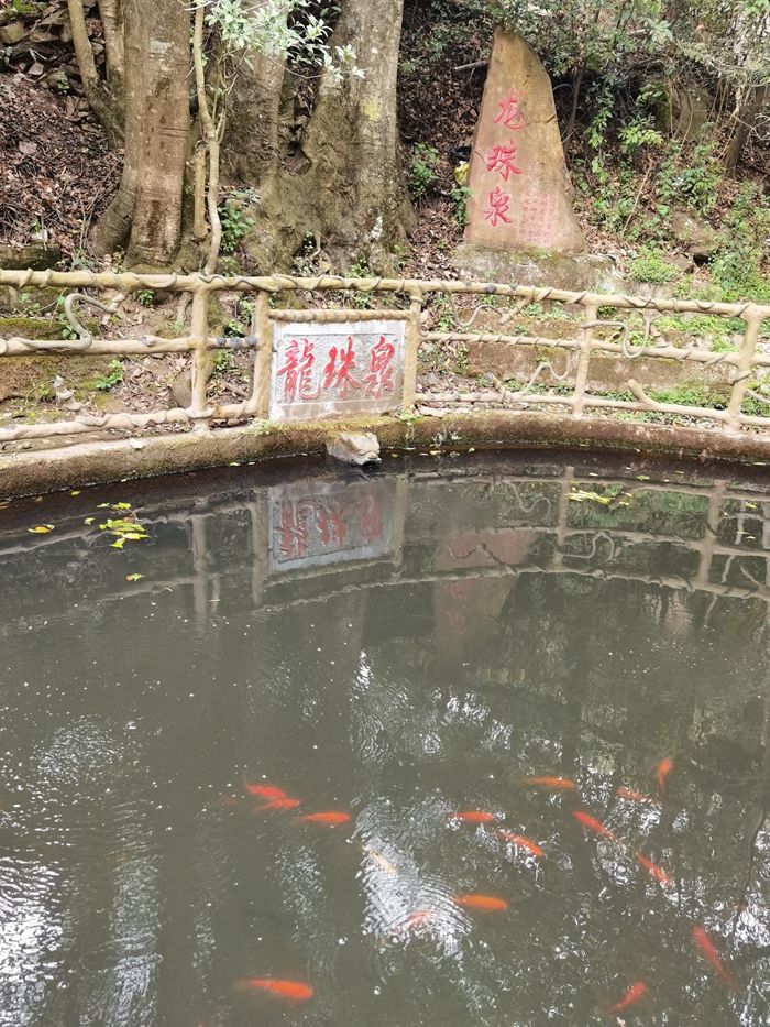 昆明青龙谷生态旅游,昆明市青龙峡风景区