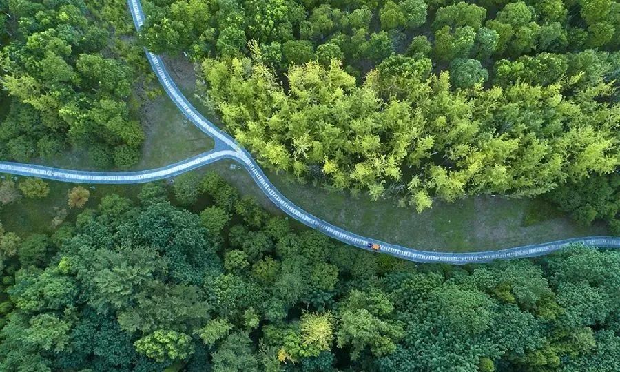 苏州京杭大运河健身步道,苏州环古城健身步道图