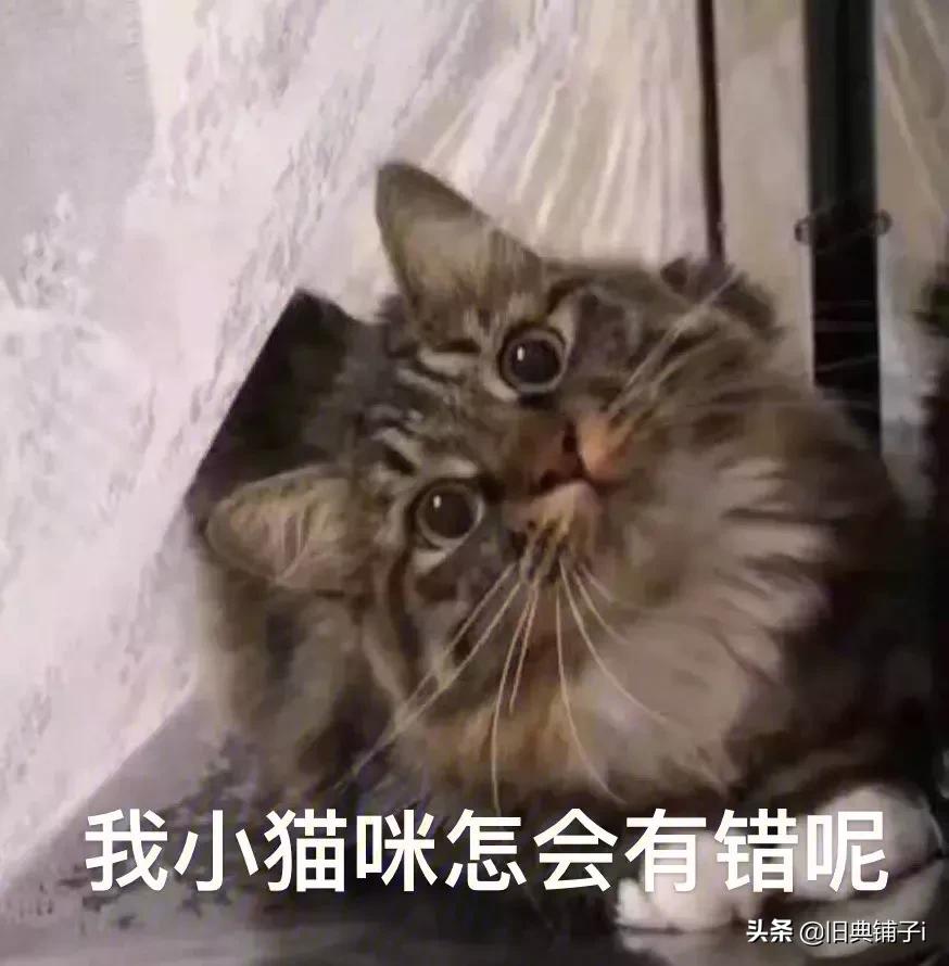 无限挑战丑男,无限挑战韩版f4