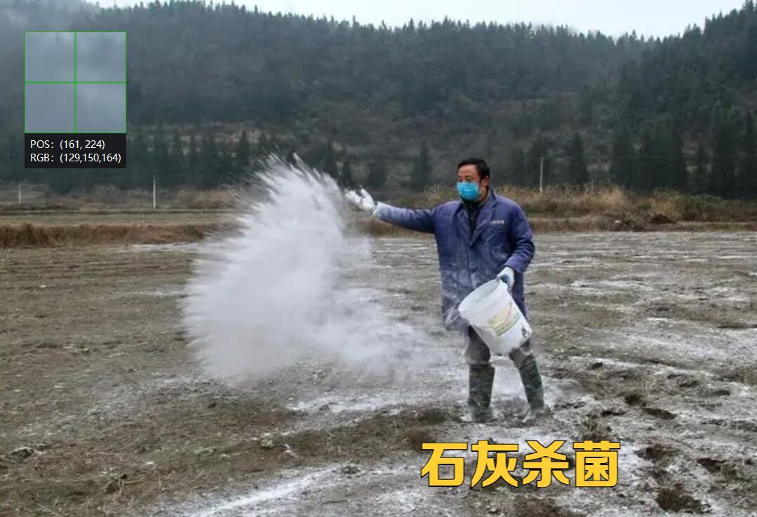 土传病害土壤如何处理,土传病害防不胜防如何彻底解决