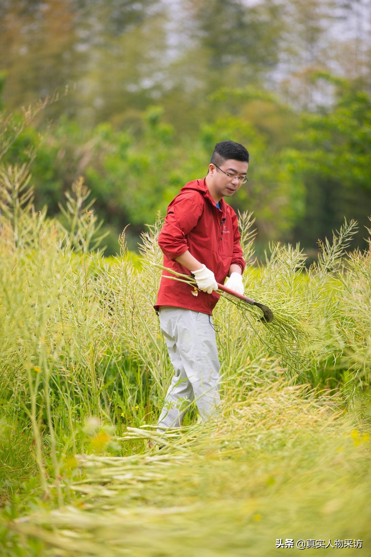 中科院在读博士专业冷门怎么就业,中科院冷门专业