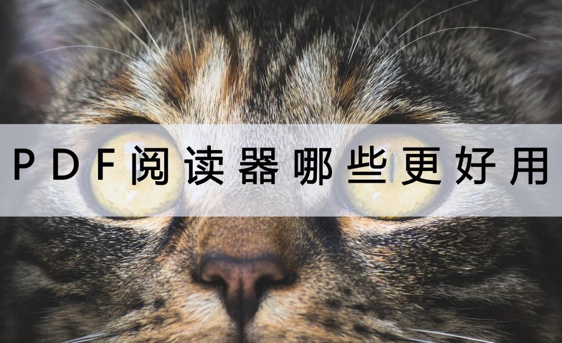 安卓平板pdf阅读器哪个好用,windows好用的pdf阅读器