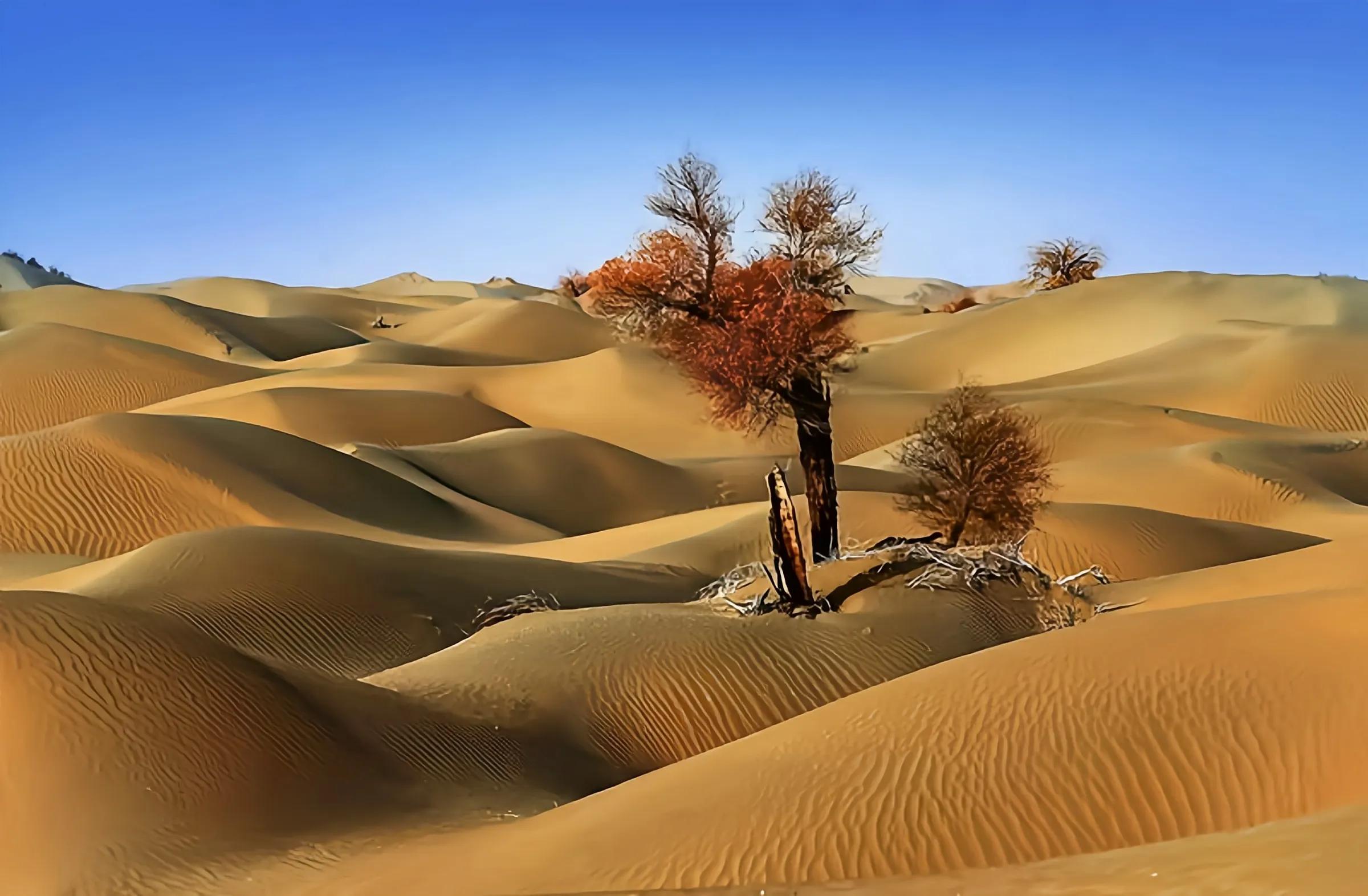 临风怀想的解释,临风怀想是什么意思