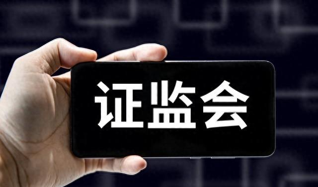 保护投资者证监会在行动,证监会发声投资者保护