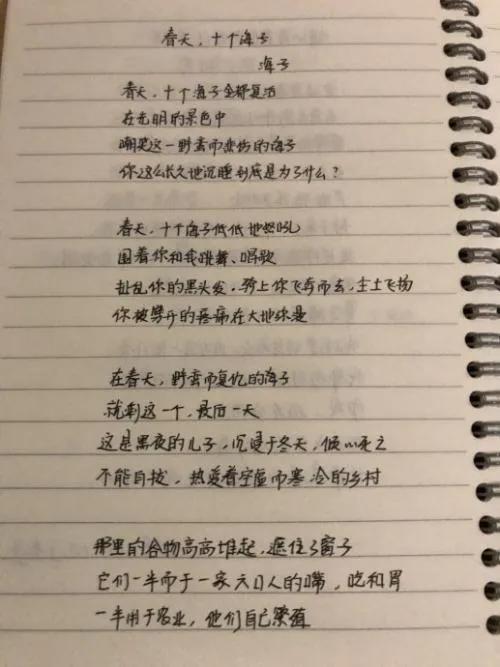 顾城海子的诗叫什么,顾城和海子对中国诗歌的影响