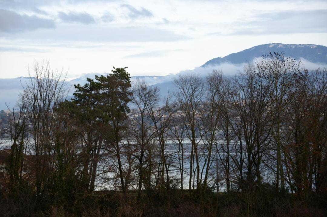 我与书的不解情缘原创,瑞士的一切令我难忘