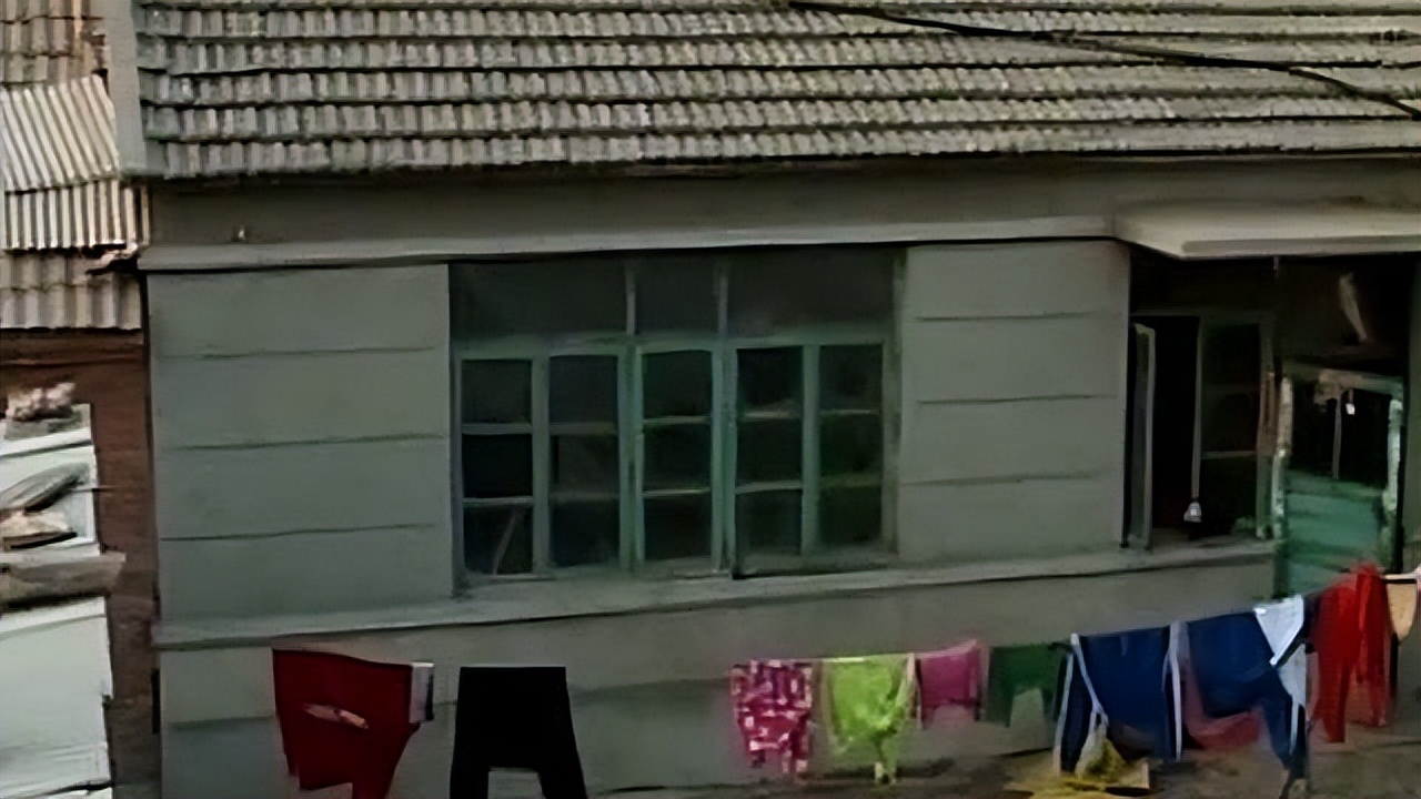 吉林农妇好心收养毒蛇,吉林农夫好心救了一条毒蛇