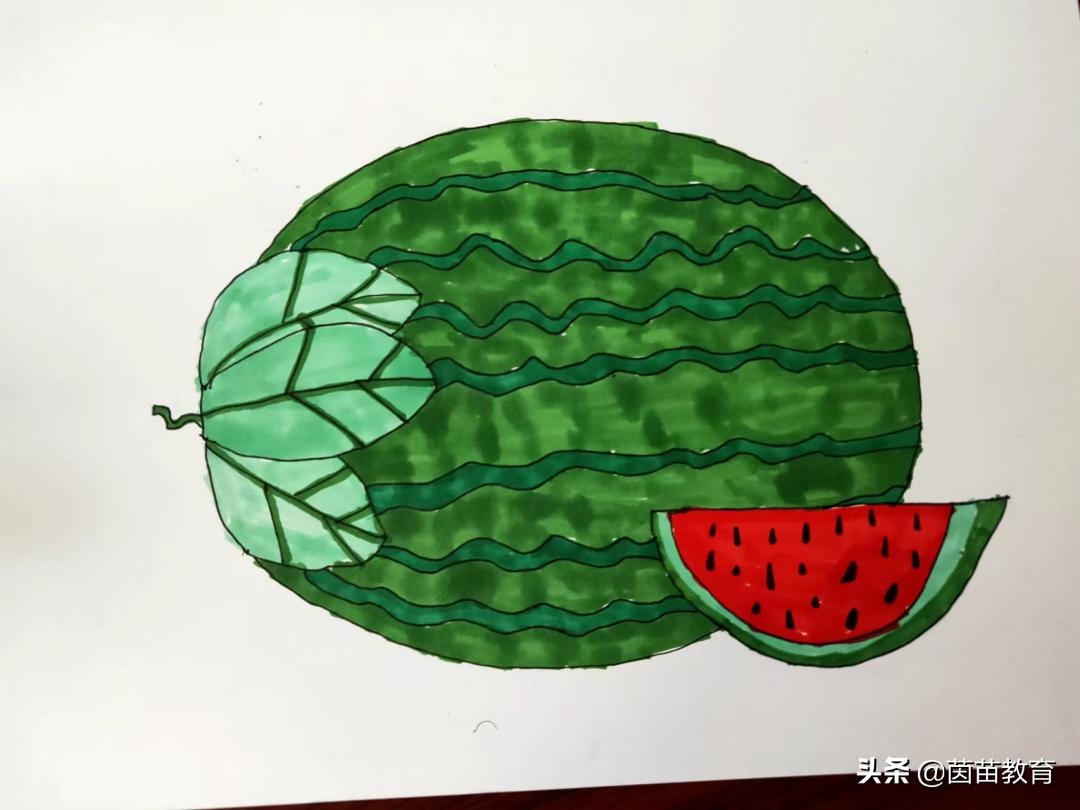 观察植物动物的书,观察动物小书本