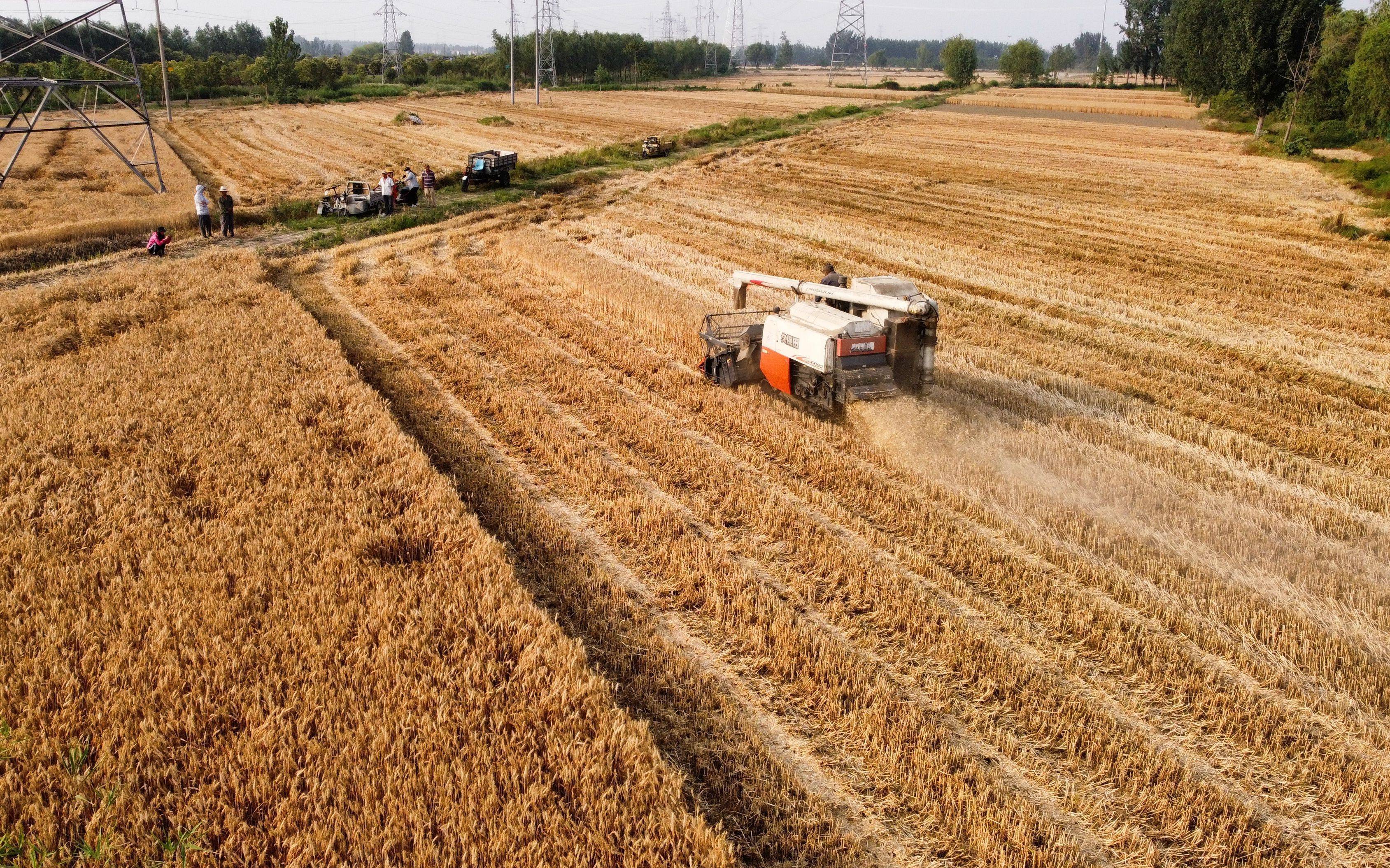 金融化和城乡收入差距,金融发展与城乡收入差距