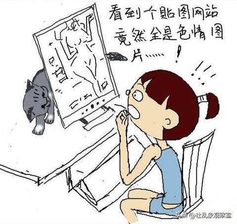 破坏淫秽网站大案,创办淫秽网站罪名