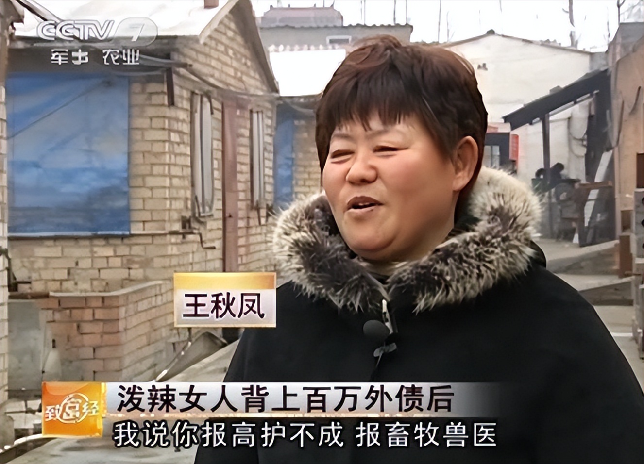 河南大姐为提高猪仔存活率，用白酒喂母猪，年入千万，有何玄机？