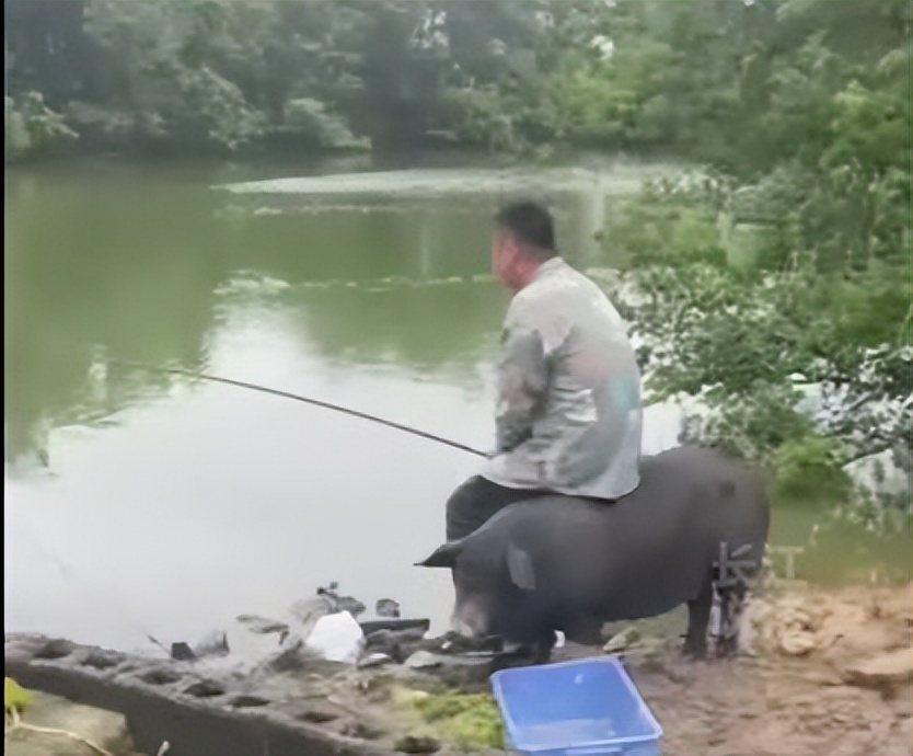 钓鱼上瘾是因为大脑分泌什么物质,钓鱼上瘾的原因和解决方法