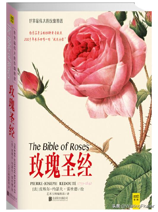 推荐玫瑰书,推荐科普书籍