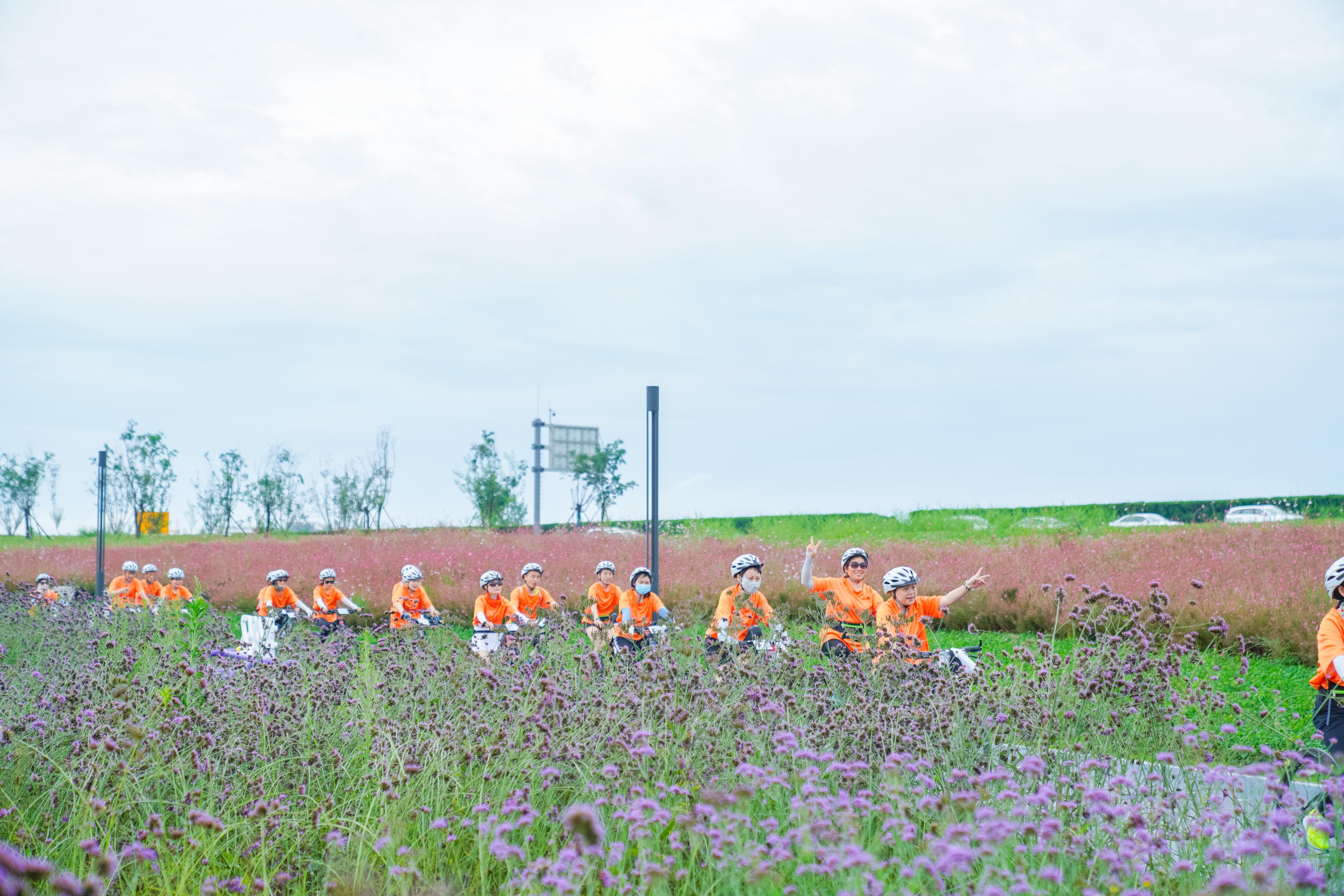 悦动彩林公园最近活动,悦动彩林公园近期视频