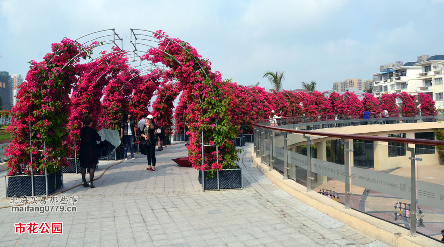 北海二手房买哪个小区,北海二手房找谁买