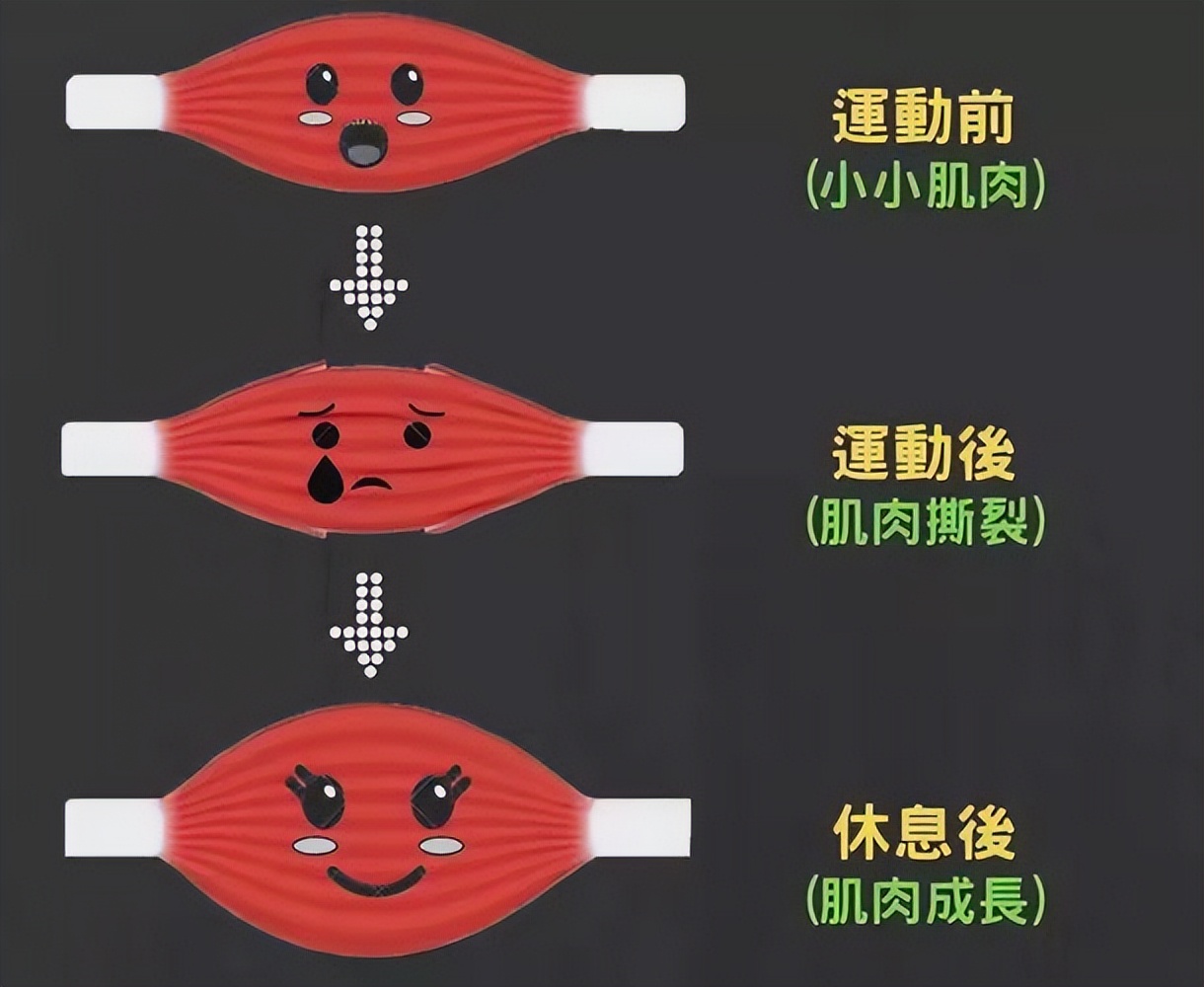 健身锻炼方法中老年,开启中老年快速健身的方法