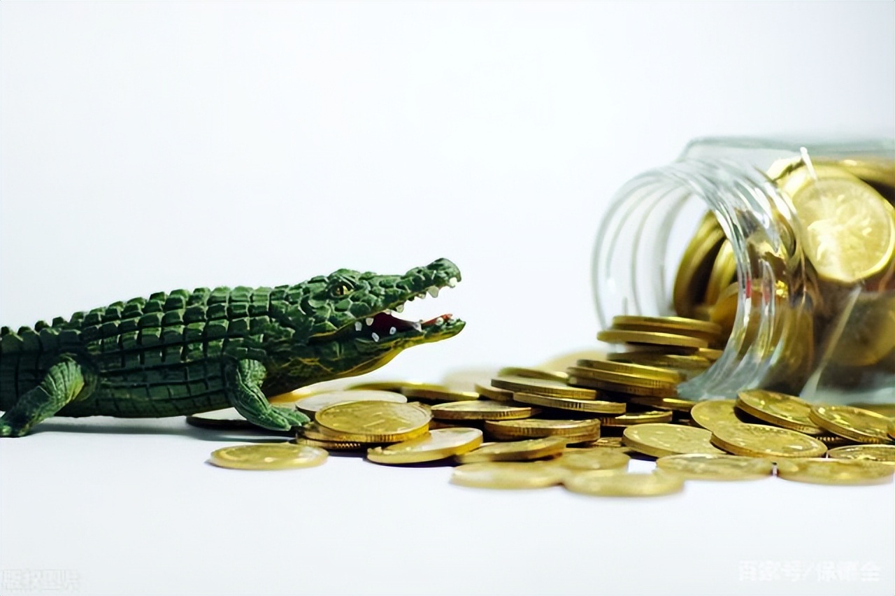 （九）隐匿的金融帝国与“上帝的银行”