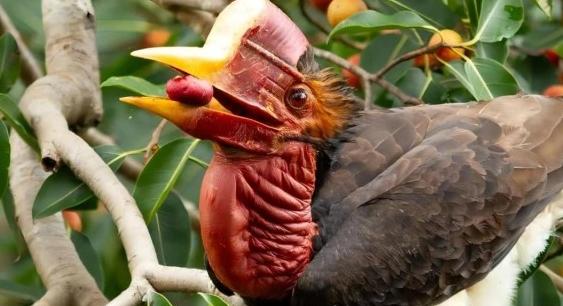 买饰品后被判刑,昆明一女子购买吊坠被判十年