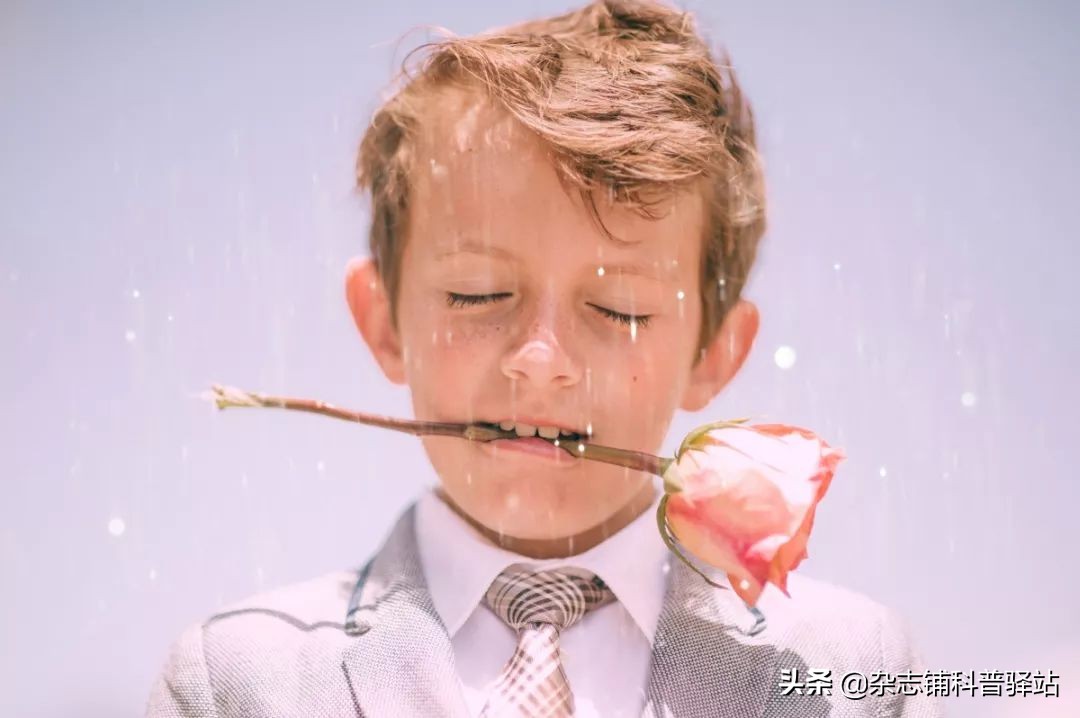 孩子最爱的科普杂志top10,国外的儿童科普杂志