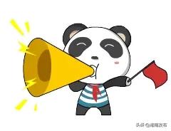 香港志愿者招募报名,青年志愿者招募令